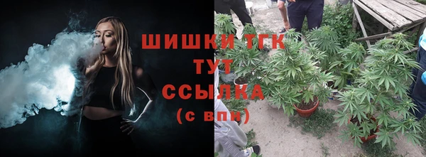 spice Козловка
