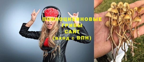 spice Козловка