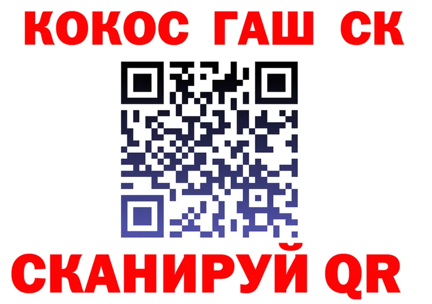 Альфа ПВП СК КРИС вход площадка блэк спрут Всеволожск